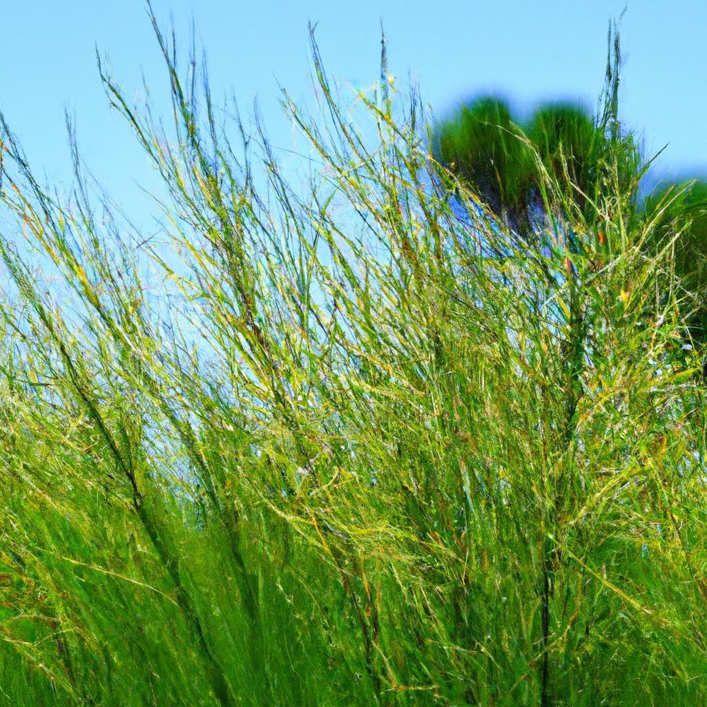 Clique Para Descobrir Plantas Com Ramos Exóticos