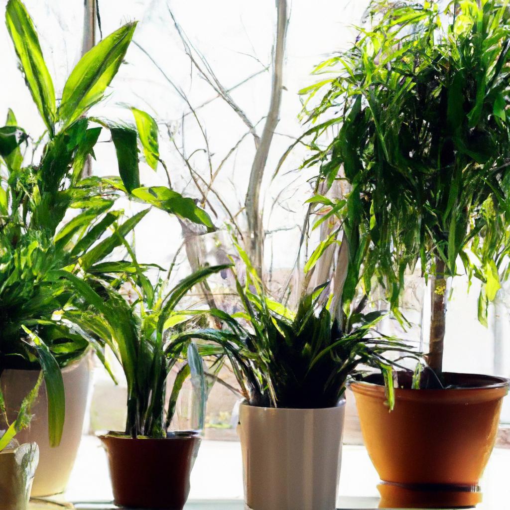 Clique Para Ver Plantas Que Sobrevivem No Interior